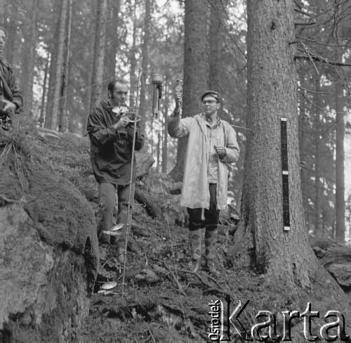 1971, Tatry, Polska.
Botanicy w Tatrach.
Fot. Irena Jarosińska, zbiory Ośrodka KARTA
