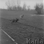 Lata 60.-70., Warszawa, Polska.
Wybrzeże Gdańskie.
Fot. Irena Jarosińska, zbiory Ośrodka KARTA