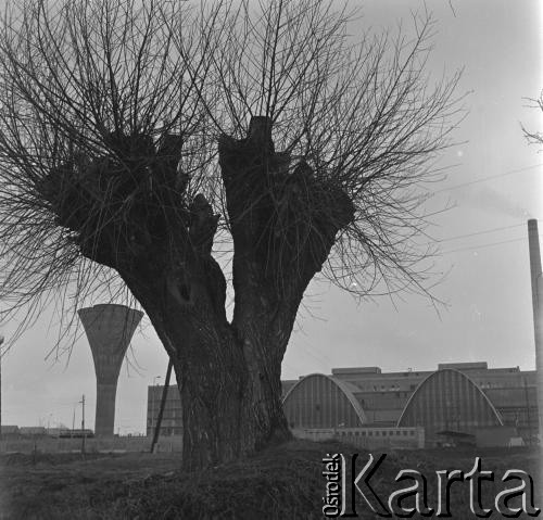 Lata 60., Sandomierz, Polska.
Huta szkła 