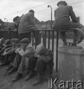 1950-1956, Warszawa, Polska
Wyścig Pokoju - warszawiacy obserwują rywalizację na trasie W-Z
Fot. Irena Jarosińska, zbiory Ośrodka KARTA