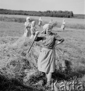 1952, Wilkowice, Polska
Sianokosy.
Fot. Irena Jarosińska, zbiory Ośrodka KARTA