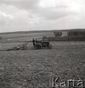 lata 50-te, okolice Starogardu Gdańskiego, Polska
Orka
Fot. Irena Jarosińska, zbiory Ośrodka KARTA