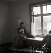 sierpień 1953, Dębno, Polska
Przewodniczący i księgowy w biurze Spółdzielni
Fot. Irena Jarosińska, zbiory Ośrodka KARTA