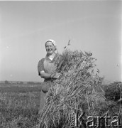 1953, Spółdzielnia Produkcyjna Dębno, okolice Łańcuta, Polska
Barbara Figiela
Fot. Irena Jarosińska, zbiory Ośrodka KARTA