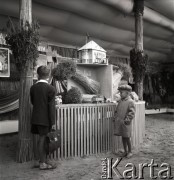 lata 50-te, Malbork, Polska
Chłopcy oglądają stoisko na wystawie rolniczej
Fot. Irena Jarosińska, zbiory Ośrodka KARTA