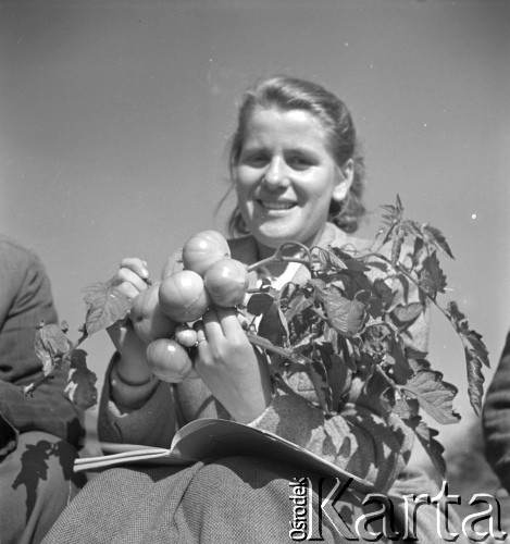 lata 50., Libertowa, Polska
Agronomka
Fot. Irena Jarosińska, zbiory Ośrodka KARTA