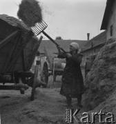 lata 50., Wilczków, Polska
Nakładanie plew na furę
Fot. Irena Jarosińska, zbiory Ośrodka KARTA