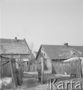lata 50-te, Stara Wieś, Polska
Elewacja domów w dawnych czworakach 
Fot. Irena Jarosińska, zbiory Ośrodka KARTA