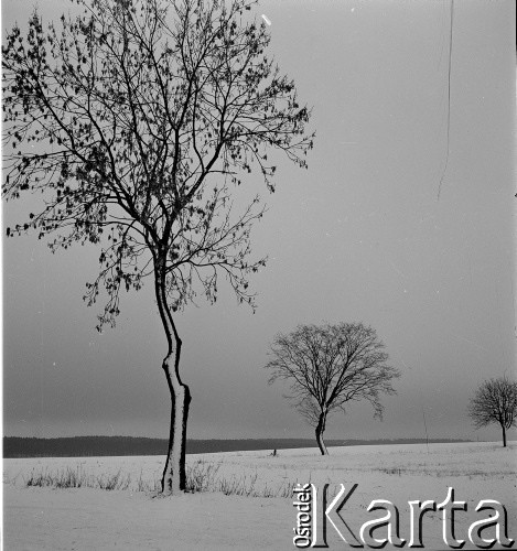 lata 50-te, okolice Starogardu Gdańskiego, Polska
Zimowy krajobraz
Fot. Irena Jarosińska, zbiory Ośrodka KARTA