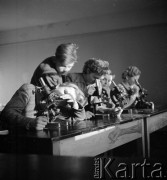 1954, Owidz, Polska
Bracia Osnowscy z Kokoszków w szkole.
Fot. Irena Jarosińska, zbiory Ośrodka KARTA
