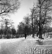 lata 50-te, Warszawa, Polska
Park Praski zimą.
Fot. Irena Jarosińska, zbiory Ośrodka KARTA