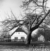 lata 50-te, okolice Rawy Mazowieckiej, Polska
Chata pokryta strzechą na terenie PGR-u.
Fot. Irena Jarosińska, zbiory Ośrodka KARTA