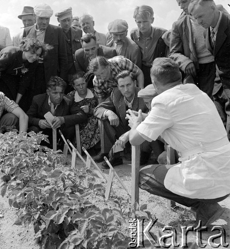 lata 50-te, Poświętne, Polska
Korespondenci Gromady i Rolnika Polskiego wizytują Instytut Uprawy Nawożenia i Gleboznawstwa.
Fot. Irena Jarosińska, zbiory Ośrodka KARTA