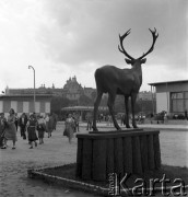 1954, Lublin, Polska
Centralna Wystawa Rolnicza - pomnik jelenia na terenie ekspozycji poświęconej leśnictwu.
Fot. Irena Jarosińska, zbiory Ośrodka KARTA