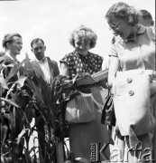 1954, Lublin, Polska
Centralna Wystawa Rolnicza - zwiedzający oglądają uprawy roślin.
Fot. Irena Jarosińska, zbiory Ośrodka KARTA