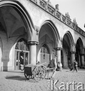 lata 50-te, Kraków, Polska
Sukiennice
Fot. Irena Jarosińska, zbiory Ośrodka KARTA