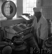 lata 50-te, Lublin, Polska
Zlewnia mleka - pracownicy ważą mleko.
Fot. Irena Jarosińska, zbiory Ośrodka KARTA