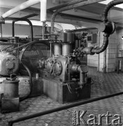 lata 50-te, Lublin, Polska
Hala z urządzeniami w mleczarni
Fot. Irena Jarosińska, zbiory Ośrodka KARTA