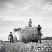 1962, Iglice, Polska.
Zakład Poprawczy dla chłopców, n/z podopieczni pomagają w sianokosach.
Fot. Irena Jarosińska, zbiory Ośrodka KARTA