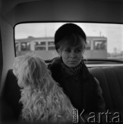 1967, Polska.
Aktorka Joanna Szczerbic z psem w samochodzie.
Fot. Irena Jarosińska, zbiory Ośrodka KARTA
