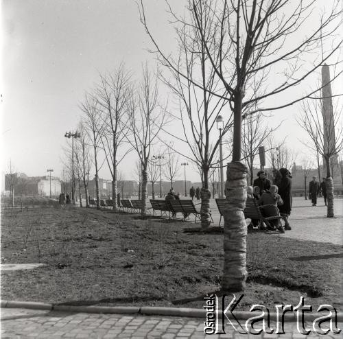 Lata 50., Warszawa, Polska.
Plac Defilad. Ławki.
Fot. Irena Jarosińska, zbiory Ośrodka KARTA