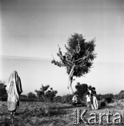11.1988, miejsce nieznane, Indie.
Fotografia z podróży po Indiach.
Fot. Irena Jarosińska, zbiory Fundacji Ośrodka KARTA
