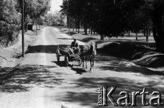 1958, Ponidzie, Polska.
Furmanka na drodze.
Fot. Irena Jarosińska, zbiory Fundacji Ośrodka KARTA