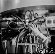 1959, Kraków, Polska.
Ośrodek Fizyki Jądrowej Instytutu Badań Jądrowych w Krakowie, n/z komora akceleracji cyklotronu U-120.
Fot. Irena Jarosińska, zbiory Ośrodka KARTA