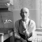 Lata 60., lub 70., Śląsk, Polska.
Hodowca kanarków.
Fot. Irena Jarosińska, zbiory Ośrodka KARTA