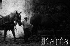 1960, Wojszyce (obecnie Wrocław), Polska.
Polscy imigranci z Kanady, osiedleni po II wojnie światowej w podwrocławskiej wsi.
Fot. Irena Jarosińska, zbiory Fundacji Ośrodka KARTA