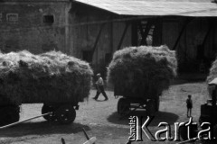 1960, Wojszyce (obecnie Wrocław), Polska.
Polscy imigranci z Kanady, osiedleni po II wojnie światowej w podwrocławskiej wsi.
Fot. Irena Jarosińska, zbiory Fundacji Ośrodka KARTA