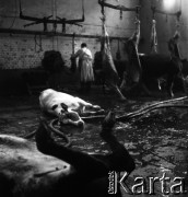 Lata 60., miejsce nieznane, Polska.
Masarnia.
Fot. Irena Jarosińska, zbiory Ośrodka KARTA