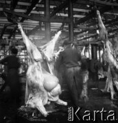 Lata 60., miejsce nieznane, Polska.
Masarnia.
Fot. Irena Jarosińska, zbiory Ośrodka KARTA