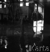 Lata 60., miejsce nieznane, Polska.
Masarnia.
Fot. Irena Jarosińska, zbiory Ośrodka KARTA