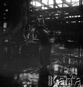 Lata 60., miejsce nieznane, Polska.
Masarnia.
Fot. Irena Jarosińska, zbiory Ośrodka KARTA