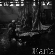 Lata 60., miejsce nieznane, Polska.
Masarnia.
Fot. Irena Jarosińska, zbiory Ośrodka KARTA