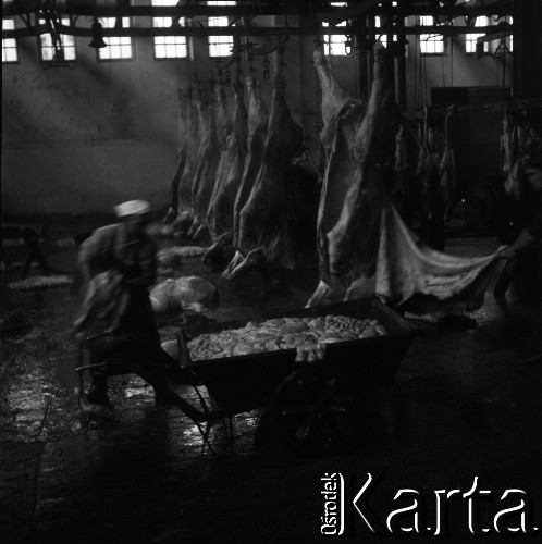 Lata 60., miejsce nieznane, Polska.
Masarnia.
Fot. Irena Jarosińska, zbiory Ośrodka KARTA