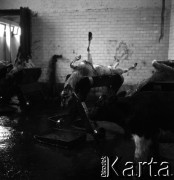 Lata 60., miejsce nieznane, Polska.
Masarnia.
Fot. Irena Jarosińska, zbiory Ośrodka KARTA