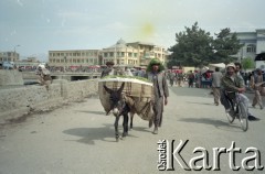 1992, Kabul, Afganistan.
Scenka uliczna.
Fot. Irena Jarosińska, zbiory Fundacji Ośrodka KARTA