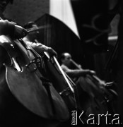 1958, Warszawa, Polska.
Filharmonia Narodowa, próba orkiestry, n/z wiolonczeliści.
Fot. , zbiory Fundacji Ośrodka KARTA
