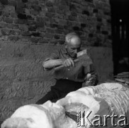 1964, Zawidz Kościelny, Polska.
Wincenty Krajewski, rzeźbiarz ludowy, przy pracy.
Fot. Irena Jarosińska, zbiory Fundacji Ośrodka KARTA
