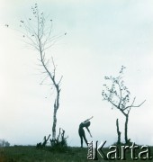 Lata 60., Sopot, Polska.
Alicja Boniuszko, baletnica.
Fot. Irena Jarosińska, Irena Jarosińska, zbiory Fundacji Ośrodka KARTA