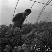 10.09.1974, Skierniewice, Polska.
XIX Międzynarodowy Kongres Ogrodniczy w Instytucie Sadownictwa, n/z uczestnicy zwiedzają Instytut Sadownictwa.
Fot. Irena Jarosińska, zbiory Ośrodka KARTA