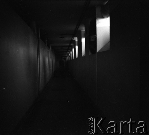 Lata 60., prawdopodobnie Warszawa, Polska.
Fotografie wykonane najprawdopodobniej w Instytucie Biologii Doświadczalnej im. M. Nenckiego PAN, utworzonym w 1918, przy ulicy Ludwika Pasteura 3. Korytarz.
Fot. Irena Jarosińska, zbiory Ośrodka KARTA