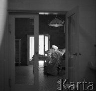 Lata 60., prawdopodobnie Warszawa, Polska.
Fotografie wykonane najprawdopodobniej w Instytucie Biologii Doświadczalnej im. M. Nenckiego PAN, utworzonym w 1918, przy ulicy Ludwika Pasteura 3. W głębi kadru widoczni w sali  lekarze weterynarii w trakcie przeprowadzania zabiegu operacyjnego.
Fot. Irena Jarosińska, zbiory Ośrodka KARTA