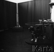 Lata 60., prawdopodobnie Warszawa, Polska.
Fotografie wykonane najprawdopodobniej w Instytucie Biologii Doświadczalnej im. M. Nenckiego PAN, utworzonym w 1918, przy ulicy Ludwika Pasteura 3. Pies w sali zabiegowej.
Fot. Irena Jarosińska, zbiory Ośrodka KARTA