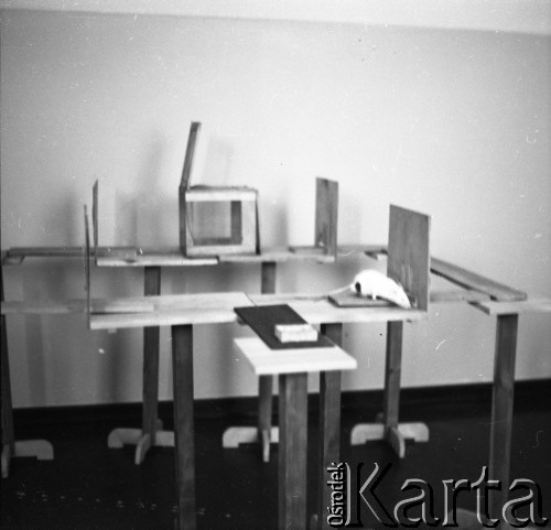 Lata 60., prawdopodobnie Warszawa, Polska.
Fotografia wykonana najprawdopodobniej w Instytucie Biologii Doświadczalnej im. M. Nenckiego PAN, utworzonym w 1918, przy ulicy Ludwika Pasteura 3. Tor doświadczalny dla gryzoni, na fotografii widoczny szczur.
Fot. Irena Jarosińska, zbiory Ośrodka KARTA