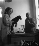 Lata 60., prawdopodobnie Warszawa, Polska.
Fotografia wykonana najprawdopodobniej w Instytucie Biologii Doświadczalnej im. M. Nenckiego PAN, utworzonym w 1918, przy ulicy Ludwika Pasteura 3. Pies z zabandażowanymi łapami podczas badania lekarskiego.
Fot. Irena Jarosińska, zbiory Ośrodka KARTA
