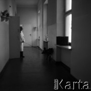 1959, Warszawa, Polska.
Instytut Biologii Doświadczalnej im. M. Nenckiego PAN.
Fot. Irena Jarosińska, zbiory Fundacji Ośrodka KARTA