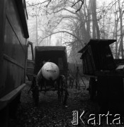 1960, miejsce nieznane, Polska.
Realizacja filmu 